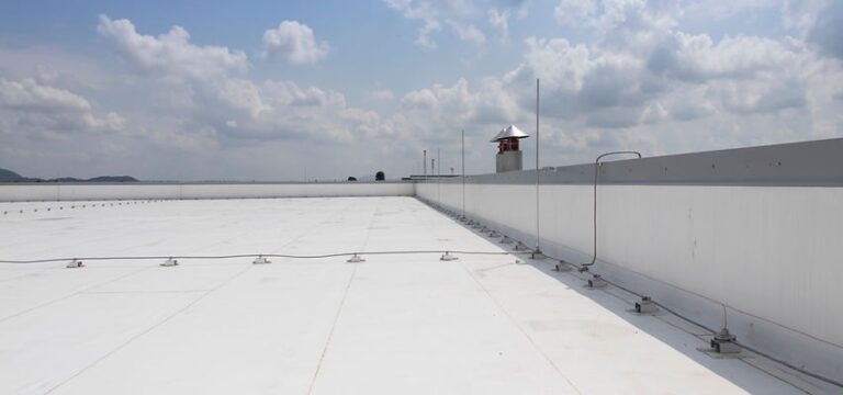 additional photo 1 768x360