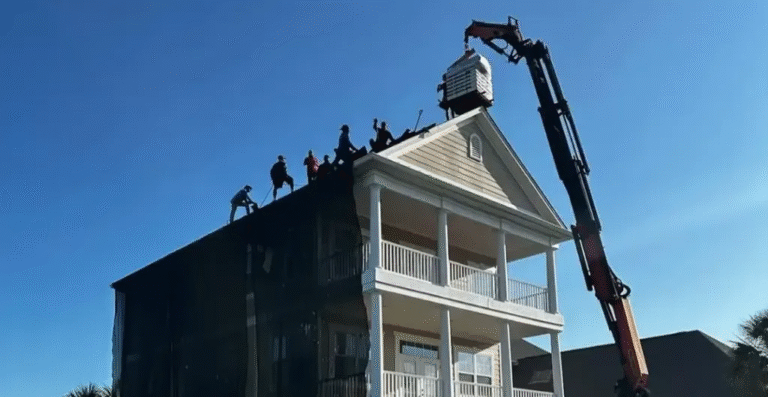 6zlApcw9aav9RJ6CjJQdvuIHQG5LcWw96AutqTHe 768x397