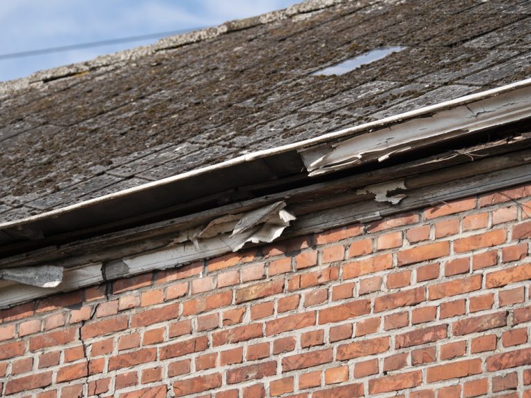 insurance claim assistance and documentation in new braunfels tx 768x576