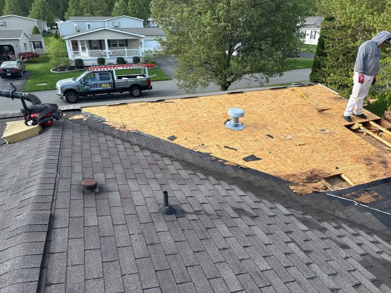 cover all roof 768x576