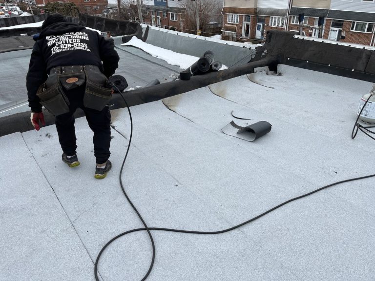 flat roof2 19154 768x576
