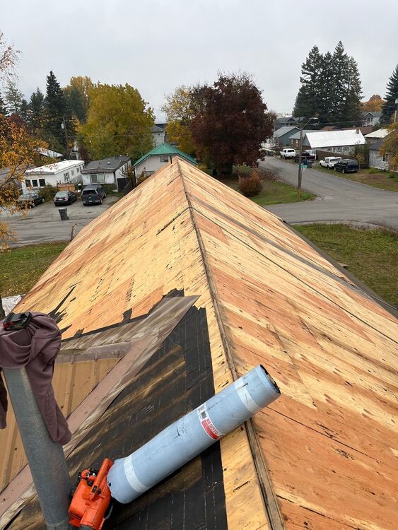 additional photo 2 SkyRight Roof