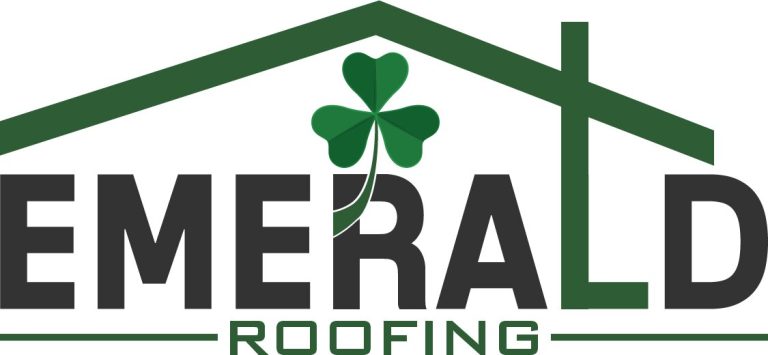 1.logo 768x355