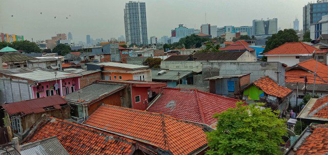 contact hail damage contractors