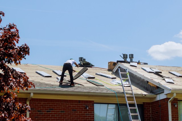 Signs of Roof Damage