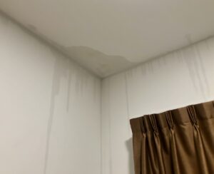 leaking roof from the inside